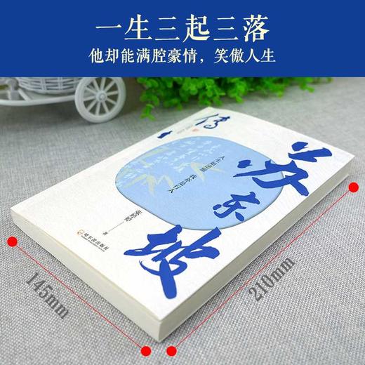 苏东坡传 商品图2