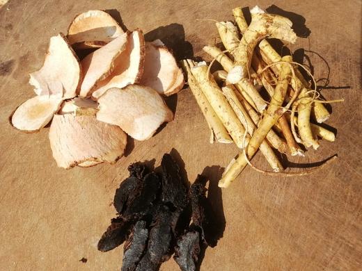 野生五指毛桃/土茯苓/牛奶根/藤杜仲/牛大力/葛根片【基地直发】 商品图5