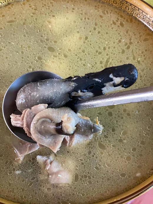 连城白鹭鸭 商品图2