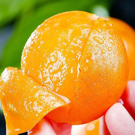 新鲜水果  时令尝鲜清甜可口 枇杷  500g 商品图3