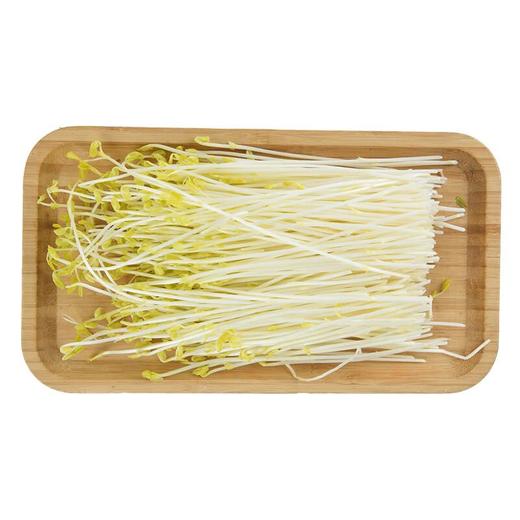 金丝柳苗 200g/份 商品图4