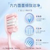 高露洁绒绒丝六维净齿牙刷双支装 商品缩略图2
