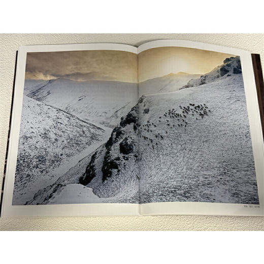 雪豹一家:卓玛王朝 商品图3