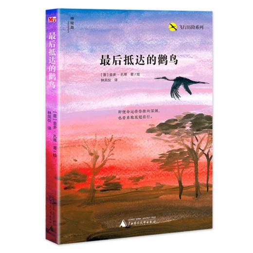 【独秀书香卡】神秘岛 飞行历险系列（全3册）来自天空的召唤+后抵达的鹳鸟+吵架大王的冒险 圭多孔蒂 著  8~14岁及以上  广西师范大学出版社 商品图2
