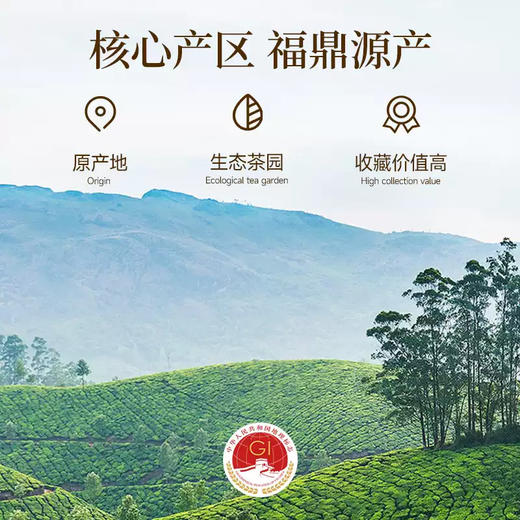 茶叶 福鼎白茶 白牡丹 花香白牡丹 小金罐  茶饮  五虎 40g 商品图3