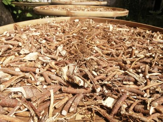 野生五指毛桃/土茯苓/牛奶根/藤杜仲/牛大力/葛根片【基地直发】 商品图3