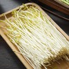 金丝柳苗 200g/份 商品缩略图0