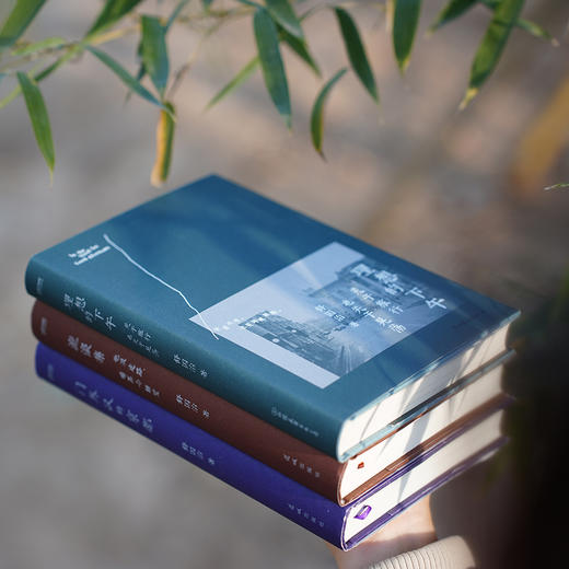 舒国治 浪游三书礼盒装（轰动华语文坛二十周年·特别纪念版。舒哥的晃荡三部曲！ 商品图6