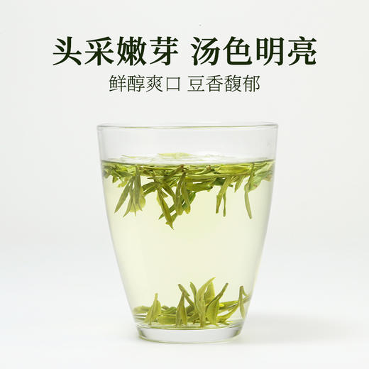 2026新茶泥巴哥精品龙井绿茶炒青豆香明前茶100g*2罐 商品图2