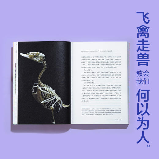 我不能在鸟兽身旁只是悲伤 商品图7