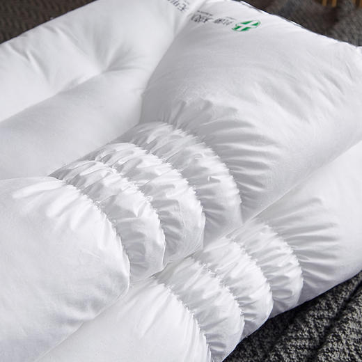 自然醒可水洗人体工学分区四维枕超柔助深睡眠枕头枕芯家用一对护颈椎睡觉专用酒店低枕头男XK 商品图12