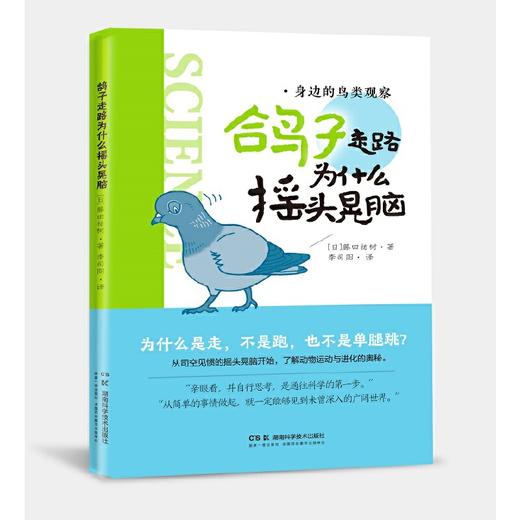 鸽子走路为什么摇头晃脑 商品图1