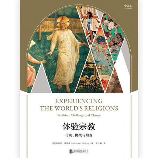 【微瑕】大学堂丛书065:体验宗教：传统、挑战与嬗变（美）迈克尔·莫洛伊 著 商品图4