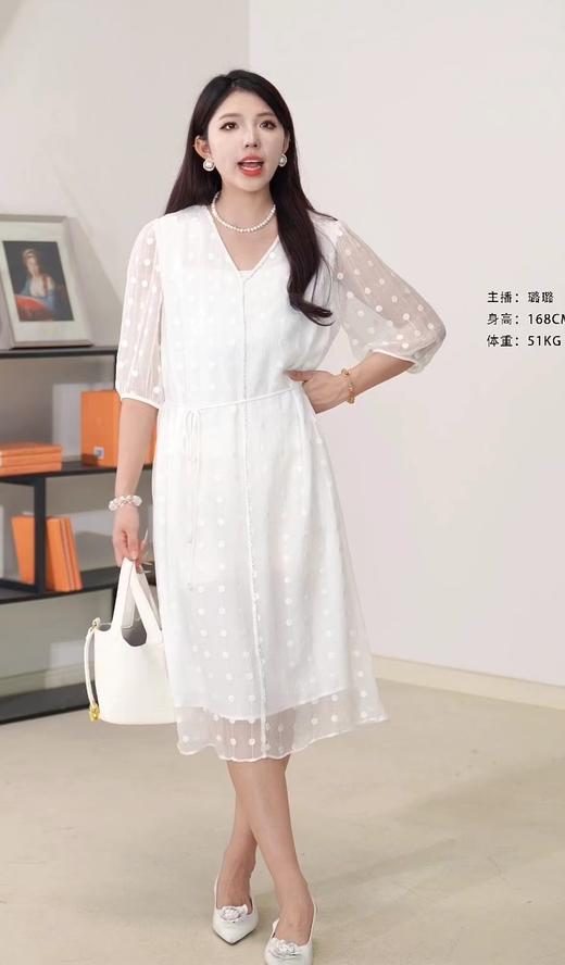 XL1XXL1臣禾	【刺绣真丝裙】  V领中长款连衣裙	JZ251020138 商品图0