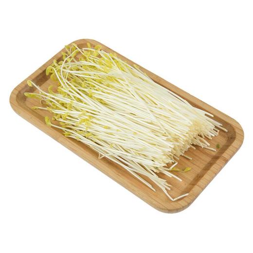 金丝柳苗 200g/份 商品图3