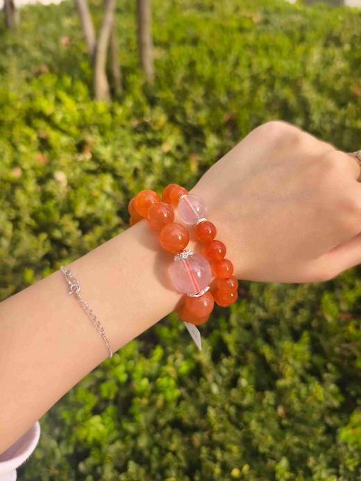 【春颂·海棠】 商品图4