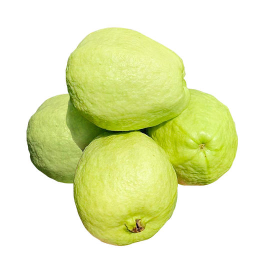 【顺丰/京东混发】福建树上熟奶油芭乐 奶香软糯甜番石榴鸡屎果新鲜孕妇水果 商品图5