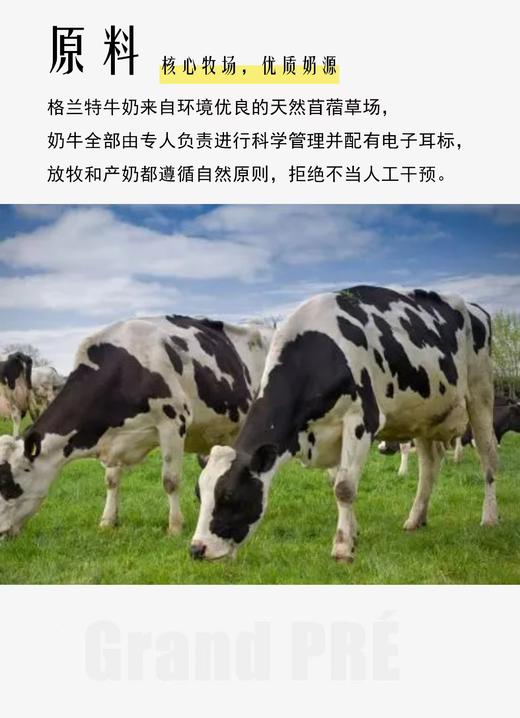 加拿大 格兰特牛奶 3.25% 1L*24盒 全脂大盒牛奶  减脂保质期到2026年10月8日； 全脂保质期到2026年9月17日 商品图9