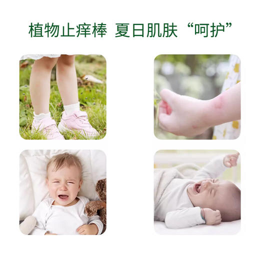 稻穗 紫草舒缓膏清凉油风油精蚊虫叮咬止痒晕车 20g/罐 商品图1