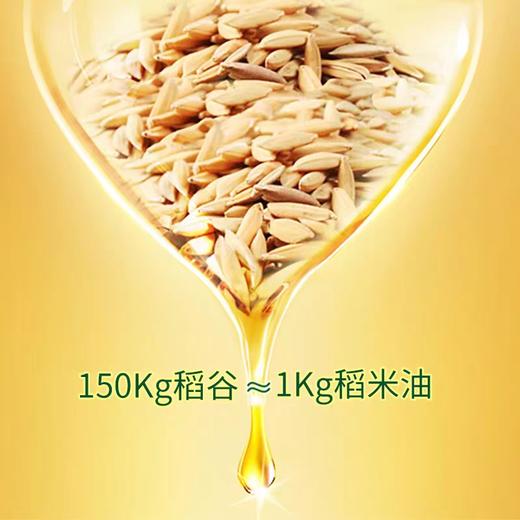【拓高】 承康 新鲜富含谷维素纯稻米油5L【周日不发货】 商品图3