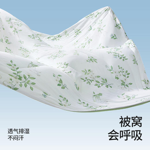 贝肽斯凉感被 商品图3