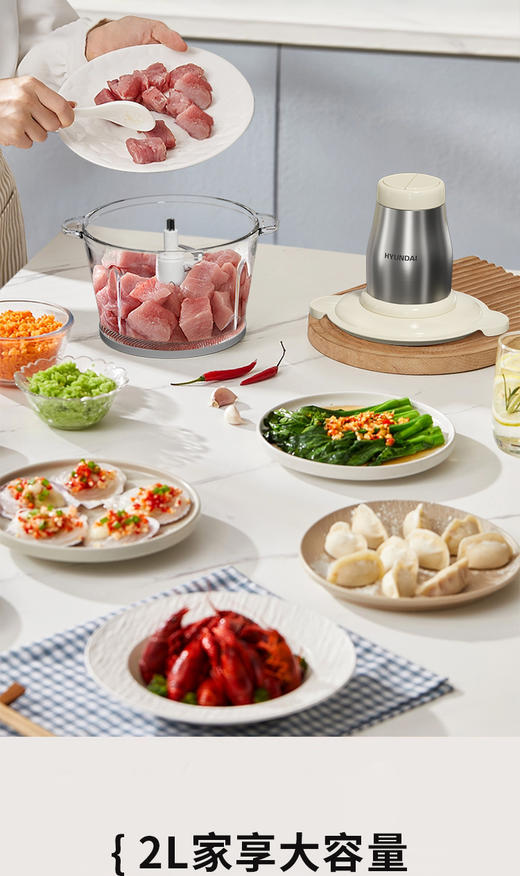 【直发】现代HYUNDAI绞肉机XF-20 商品图1