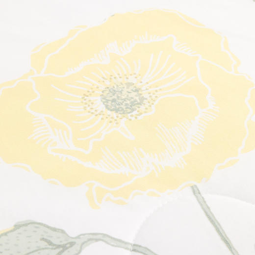 多喜爱 悦怡夏薄被/空调被（虞梦）【全棉面料】【七孔纤维】可机洗水洗精梳全棉 清新花卉 斜纹织造 整张填充 榈棉/包边 商品图3