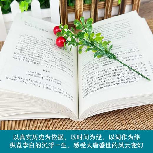 李白传 商品图4