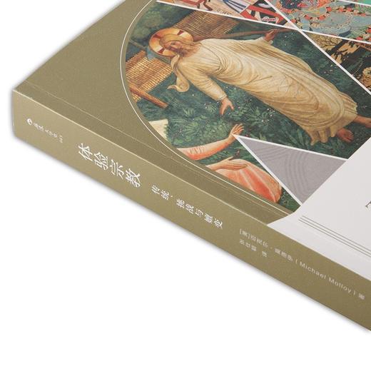 【微瑕】大学堂丛书065:体验宗教：传统、挑战与嬗变（美）迈克尔·莫洛伊 著 商品图3
