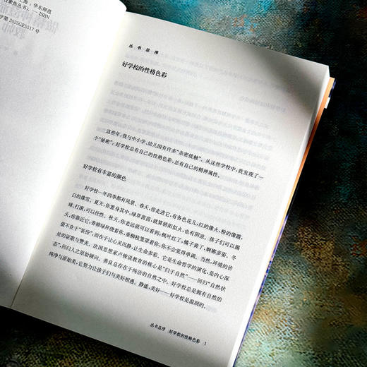 做精神澄澈的教师 娄斐 教师队伍建设 特色学校聚焦丛书 商品图5