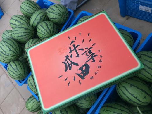 庞各庄西瓜【京津冀包邮】 商品图3