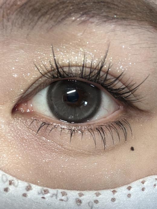 kikicon月抛美瞳 白檀木 14.5mm 商品图0