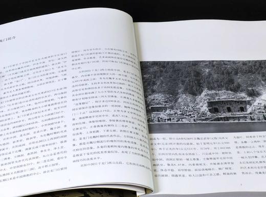 绝版！！书法田野考察成果集两种：《千唐志斋六十品卷》+《龙门造像题记》，16开，铜版纸印刷，王镛主编，河北美术出版社2008年一版一印，276元，售价78元。品95成。 商品图4