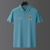 polo衫男士T恤短袖夏季高档翻领刺绣半袖上衣   FL-T5402* 商品缩略图2