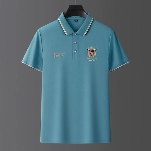 polo衫男士T恤短袖夏季高档翻领刺绣半袖上衣   FL-T5402* 商品图2