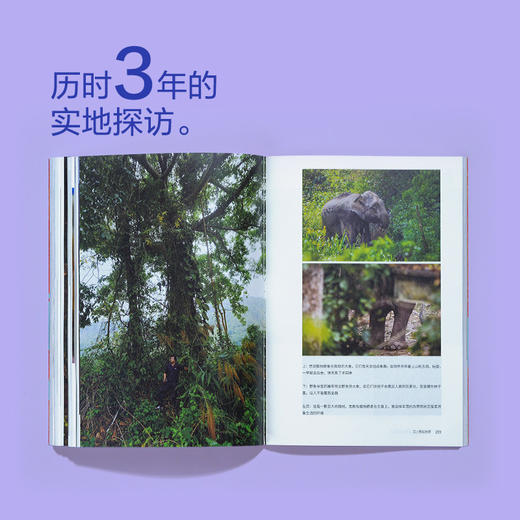 我不能在鸟兽身旁只是悲伤 商品图5