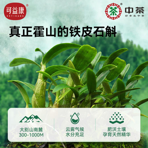 可益康灵芝石斛原液植物饮料 石斛原液添加量≥90% 温和盈润  清新爽口  25ml*7袋*1盒 商品图4
