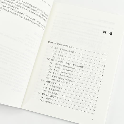 平台规制：助推数字化转型 企业数字化转型产业升级战略定制方式实操方法企业管理经管书籍 商品图3