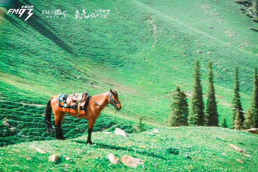 2025新疆之旅-伊犁双飞8日漫游 商品图4