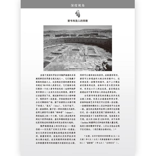 【微瑕】大学堂丛书065:体验宗教：传统、挑战与嬗变（美）迈克尔·莫洛伊 著 商品图5