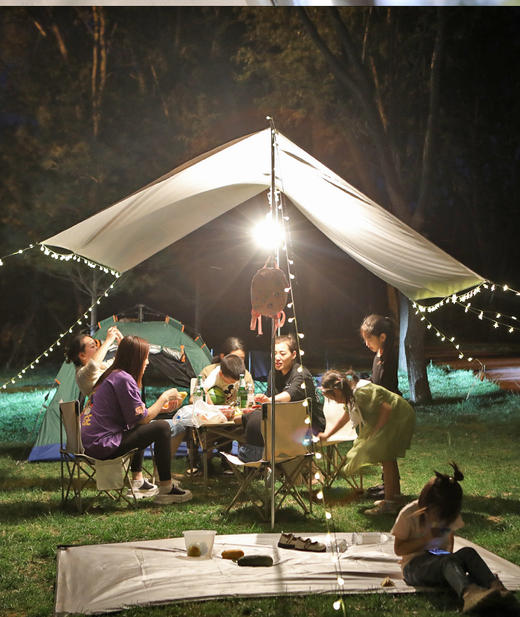 【户外黑科技天幕！UPF50+山野会客厅】加厚黑胶，25°C恒温天幕，冬暖夏凉！加粗天幕杆，可抗6级大风，多层拒水工艺，防雨防晒便携，露营涂银遮阳棚布，户外野营凉棚野餐！ 商品图10