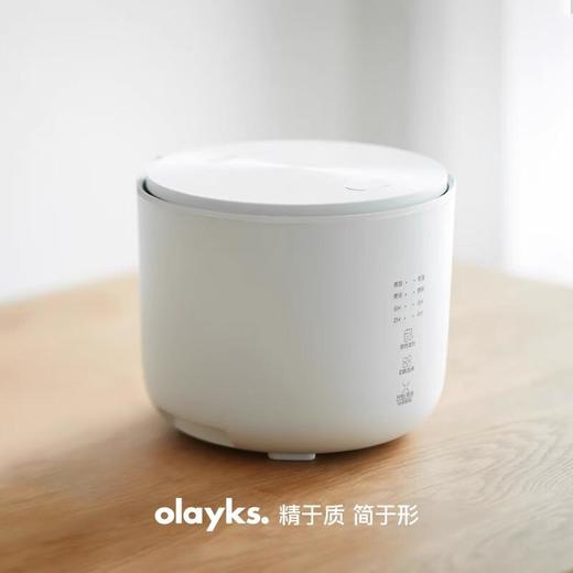 olayks立时 迷你电饭煲2L OLK-20C ZNFB03001 商品图0