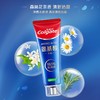 高露洁氨基酸牙膏森林花茶味 100克 商品缩略图4