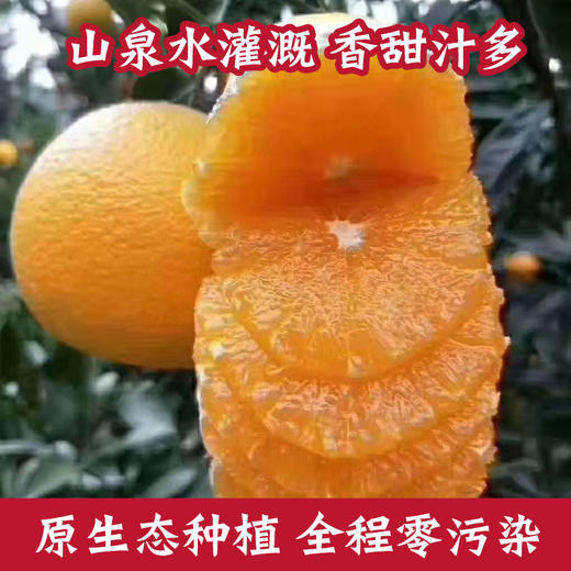 四川正宗大凉山雷波脐橙纯甜多汁新鲜水果家庭装礼盒装 商品图1