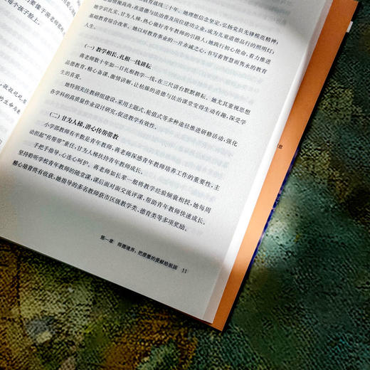 做精神澄澈的教师 娄斐 教师队伍建设 特色学校聚焦丛书 商品图9