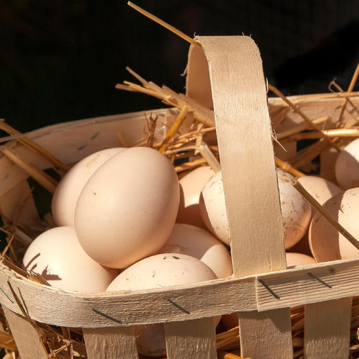 桂柳【会员秒杀】~土鸡蛋20枚/盒 商品图5