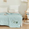 杉杉（FIRS) QFS-35211 艾草健康被 180x210cm 商品缩略图0