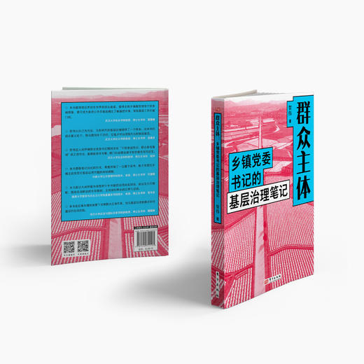 《群众主体：乡镇党委书记的基层治理笔记》 商品图4