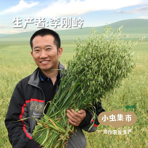 蒙北天然燕麦胚芽米 500g/盒 | 合作农友生产，产自内蒙古乌拉盖草原，生产者：李刚岭 &【公平贸易农人定价】 商品图4