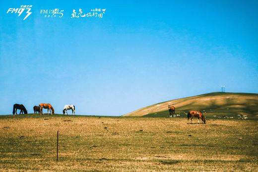 2025新疆之旅-伊犁双飞8日漫游 商品图3